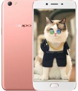 【二手9成新】OPPO R9s 二手手机 安卓智能手机 全网